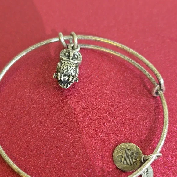 Alex and ani bracelet owl jo35 - Picture 2 of 4